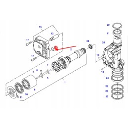 X548885102000 sealing ring 29 1 x 2 55