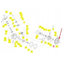 100062388 gear wheel