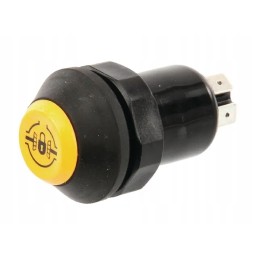 Push-button switch differential lock