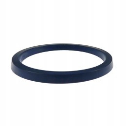 Lifter piston seal ring un67 2x8