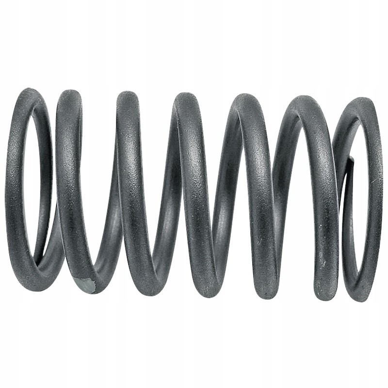 External valve spring 50 00 109 1