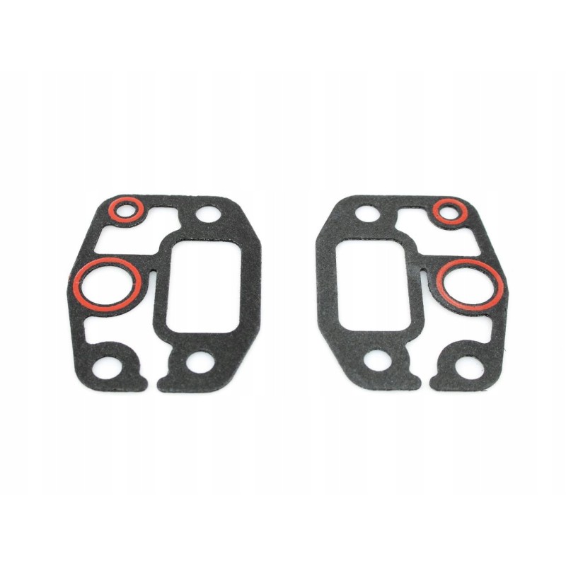 Intake manifold gasket case 130100190703