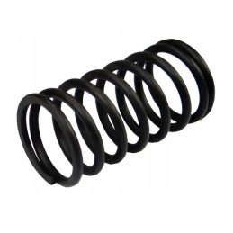 Outer valve spring 950508 zetor for sale