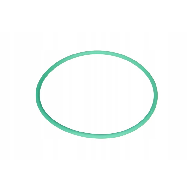 X548949815000 o-ring 67 x 2 5