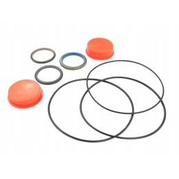 Orbitrol massey gasket set 1810503m92