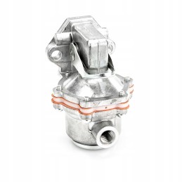 Diaphragm feed pump 38019476