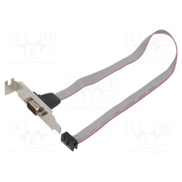 1 pcs x GEMBIRD - CC-DB9ML-01 - Transition: adapter, 10pin IDC,D-Sub 9pin plug, 0.4m, Cablexpert