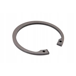 716100080250 internal seger ring
