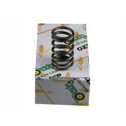 Deutz internal valve spring