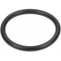 Oring seal cnh 353108 case new holland