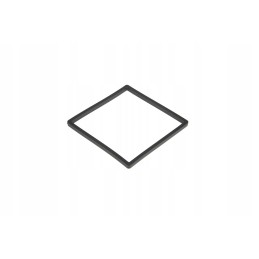 F916200060081 fuel filter rubber seal