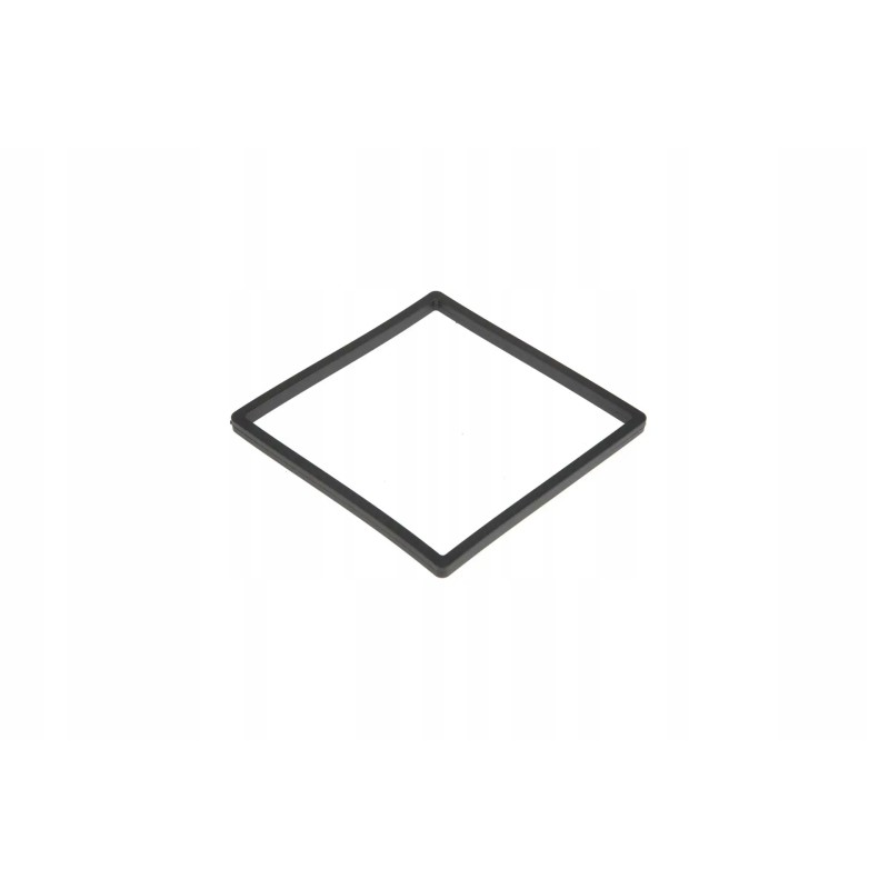 F916200060081 fuel filter rubber seal