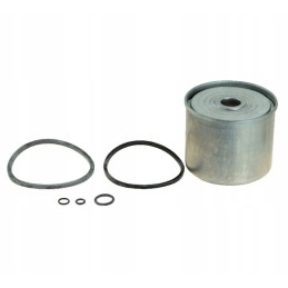 Fuel filter insert for mf 3 c3603p can pm819 1