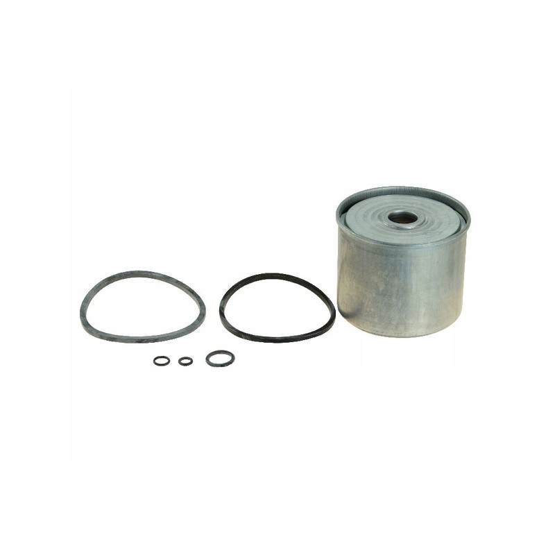 Fuel filter insert for mf 3 c3603p can pm819 1
