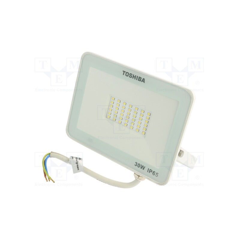 1 pcs x TOSHIBA LED LIGHTING - DELL-FLC4030C5A021 - Lamp: LED flood light, 230VAC, 30W, cool white, 120°, 6500K, IP65