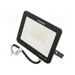 1 pcs x TOSHIBA LED LIGHTING - DELL-FLC4030C5A011 - Lamp: LED flood light, 230VAC, 30W, cool white, 120°, 6500K, IP65