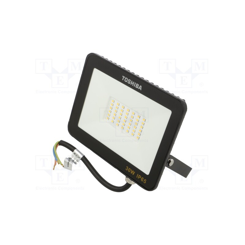 1 pcs x TOSHIBA LED LIGHTING - DELL-FLC4030C5A011 - Lamp: LED flood light, 230VAC, 30W, cool white, 120°, 6500K, IP65