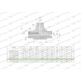 Hydraulic tee inch bbb 1 bsp xt in