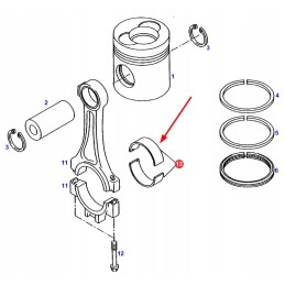 F824200310050 connecting rod bearing