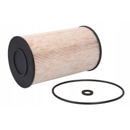 Donaldson P502423 fuel filter