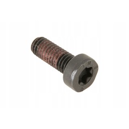 4302667m1 double clutch bolt m6 x 16