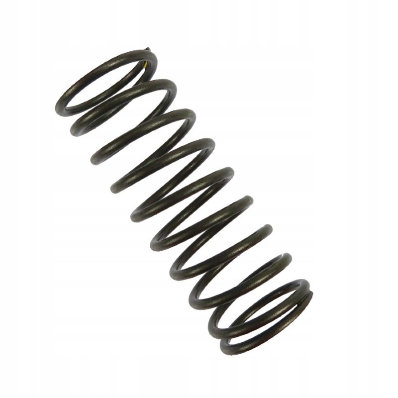 Internal valve spring C 360 Andoria mot
