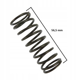 Internal valve spring C 360 Andoria mot