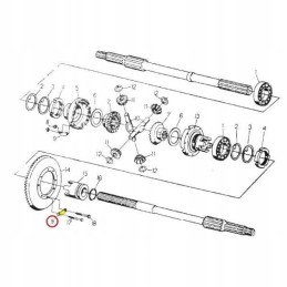 Washer securing the ring wheel bolts c