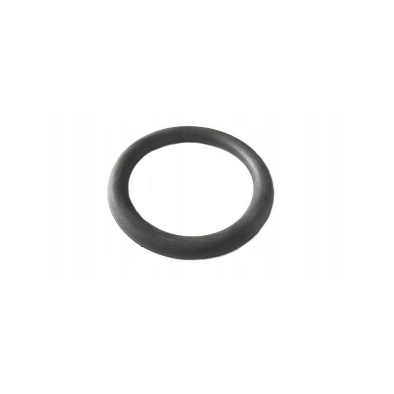 Seal for hose end m 108 4050200248