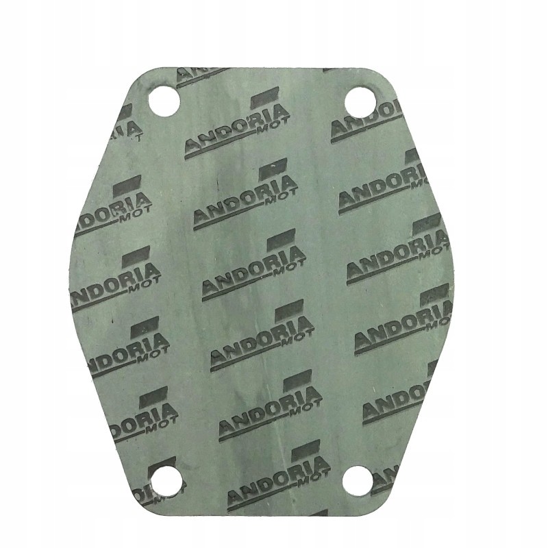 Krazelite water pump cylinder block gasket