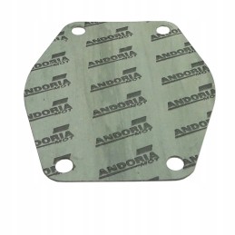 Krazelite water pump cylinder block gasket