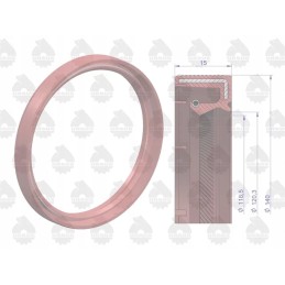 Crankshaft seal seal ring