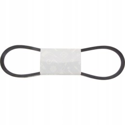 Spa V-belt 12 7x982 solid granite