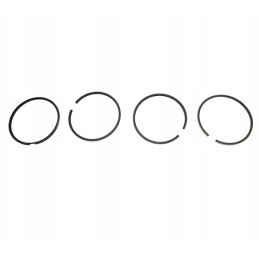 Set of engine piston rings q100 mm 4 pcs