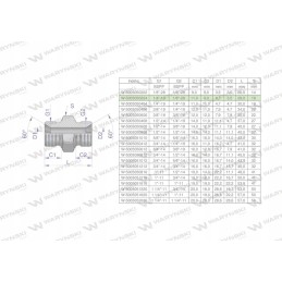 Inch bb 1 8 hydraulic reducing connector