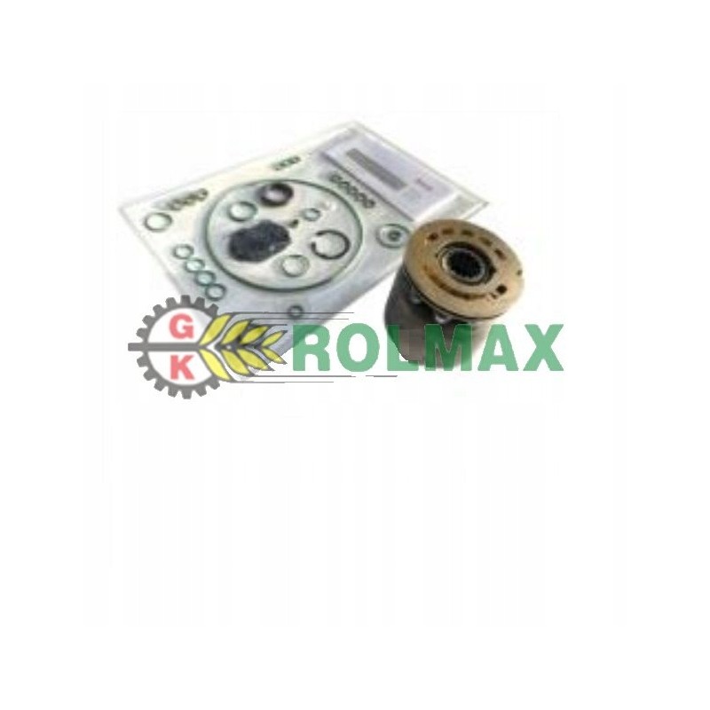 Pump repair kit without seals case r9109477