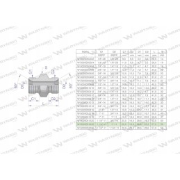 Inch bb hydraulic reducing connector 1