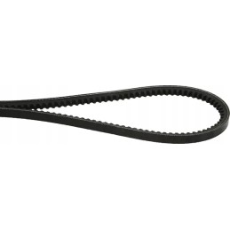 Toothed V-belt Avx 10,913 mm