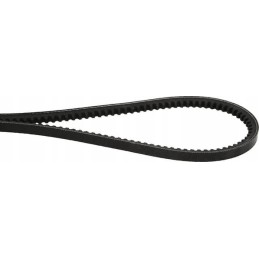 Toothed V-belt Avx 10,913 mm