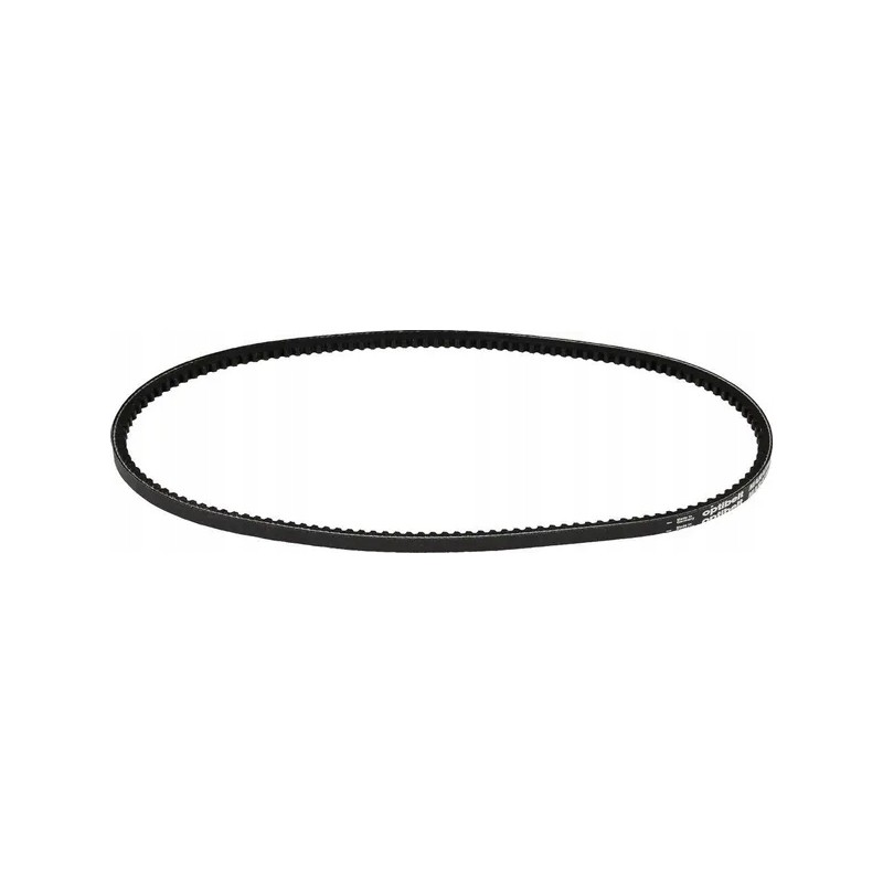 Toothed V-belt Avx 10,900 mm