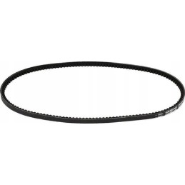 Toothed V-belt Avx 10,900 mm