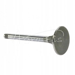 Fendt Farer Andoria Mot intake valve, packed in 4s