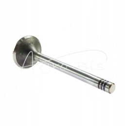 Fendt Farer Andoria Mot intake valve, packed in 4s