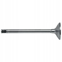 Exhaust valve 4 grooves 380002054 granite