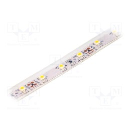 1 m x LUCKYLIGHT - LS-3528WW60RN-1 - LED tape, white warm, 3528, 12V, LED/m: 60, 10mm, IP65, 120°, 4.8W/m