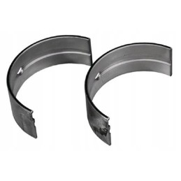 A pair of main connecting rod bearings