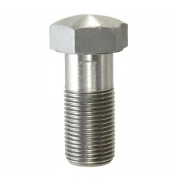 Screw 80161017 domestic product