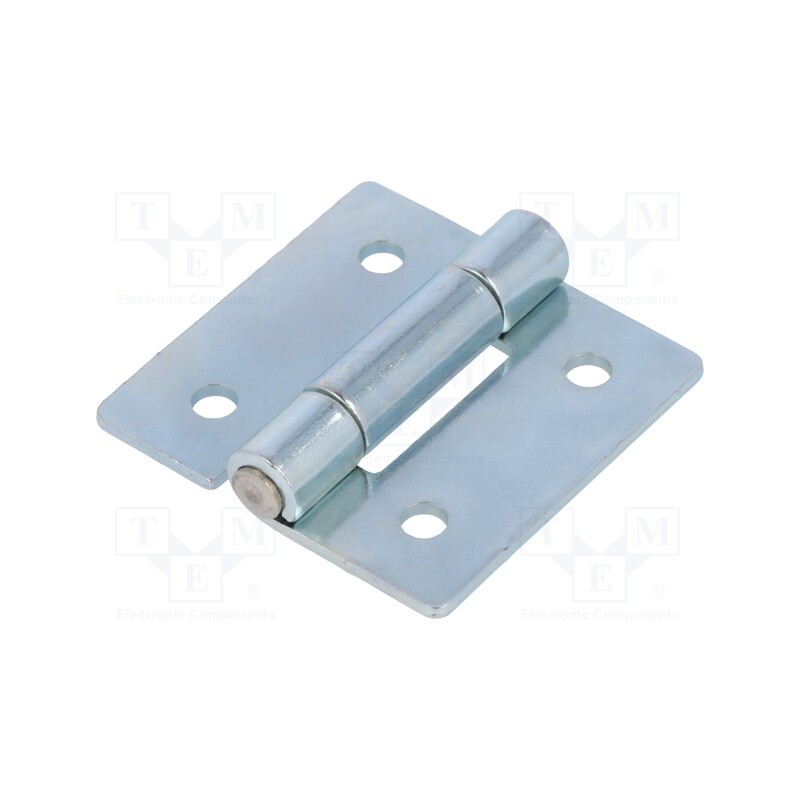 1 pcs x ELESA+GANTER - GN 136-ST-50-50-B - Hinge, Width: 50mm, zinc-plated steel, H: 50mm