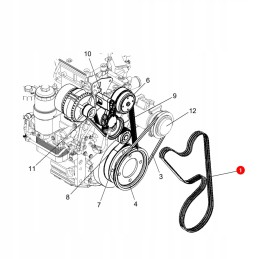V-belt 8pk 1795 contitech