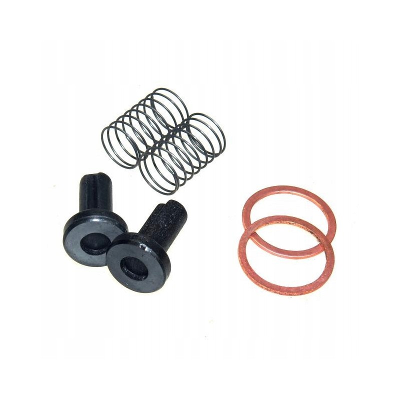 Set of nylon valves for the feed pump